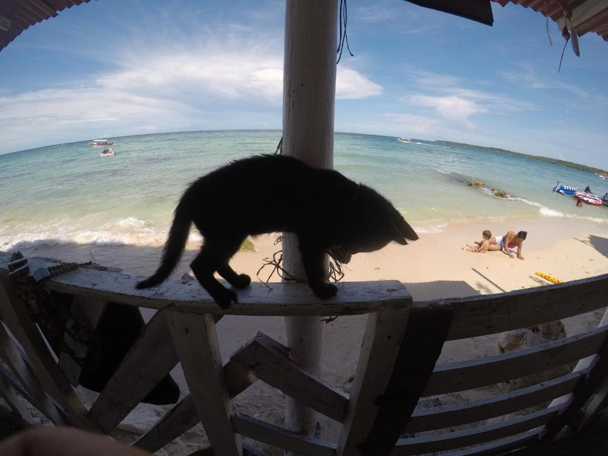 Despertarte Espacio De Arte Y Hospedaje Playa Blanca Ngoại thất bức ảnh